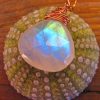 Rose Gold & Moonstone Y Necklace