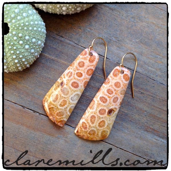 Fossilized Coral III
