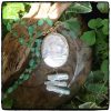 Mother of Pearl Chrysoprase Cameo