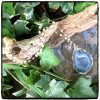 Mila Blue Geode Necklace