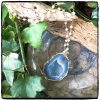 Mila Blue Geode Necklace