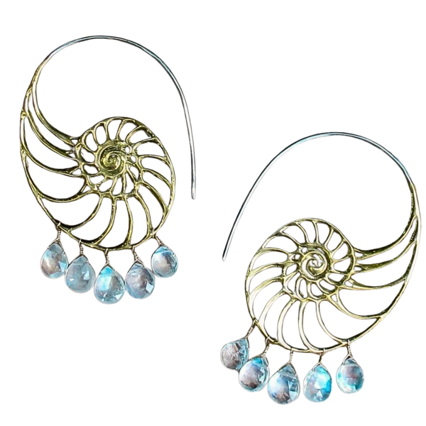 AAA Moonstone Wire-Wrapped Nautilus Earrings – Handmade in the USA - Image 3