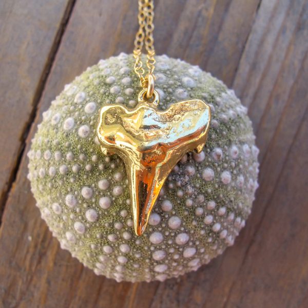 Bite Me Shark's Tooth Necklace