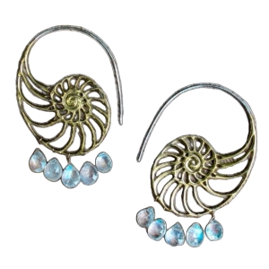 AAA Moonstone Wire-Wrapped Nautilus Earrings – Handmade in the USA