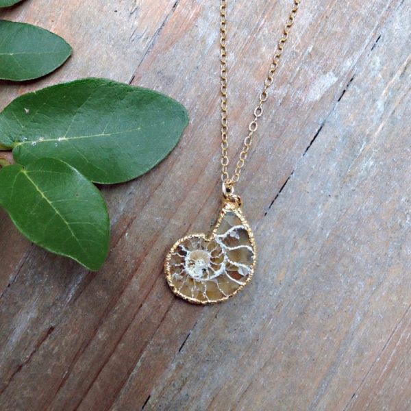 Ammonite Fossil Necklace