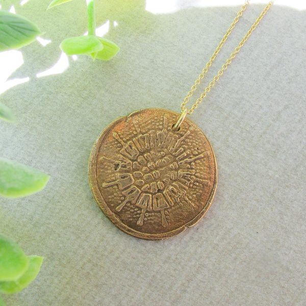 Hand Textured Sea Urchin Medal Necklace on Gold Filled Chain