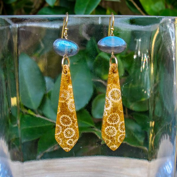 Labradorite & Fossilized Coral Earrings