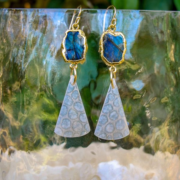 Labradorite & Fossilized Coral Earrings