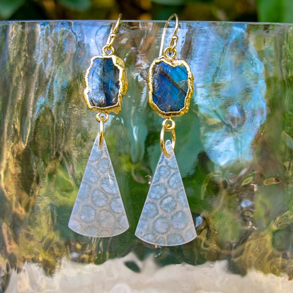 Labradorite & Fossilized Coral Earrings - Image 2