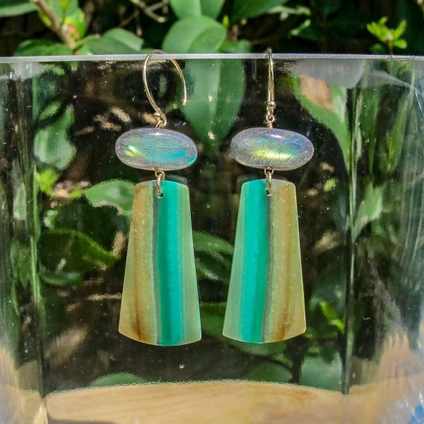 Labradorite & Petrified Wood Earrings