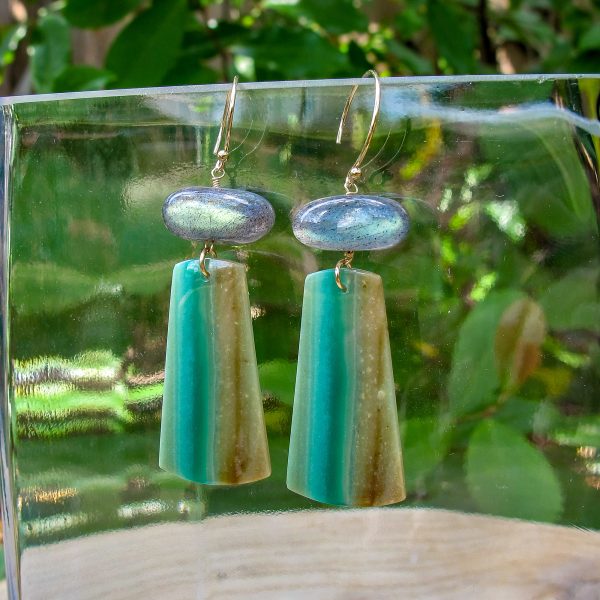 Labradorite & Petrified Wood Earrings - Image 2