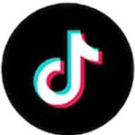 The image shows the TikTok logo: a stylized white musical note with blue and red shadows, set against a solid black circular background—its striking contrasts recall the bold designs often seen in natural jewelry.