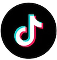 The image shows the TikTok logo: a stylized white musical note with blue and red shadows, set against a solid black circular background—its striking contrasts recall the bold designs often seen in natural jewelry.